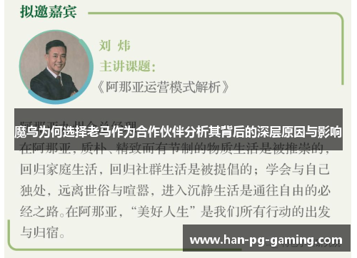 魔鸟为何选择老马作为合作伙伴分析其背后的深层原因与影响