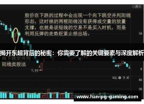 揭开东超背后的秘密：你需要了解的关键要素与深度解析