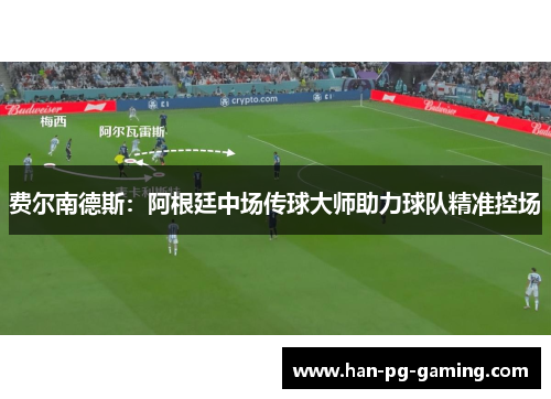 费尔南德斯：阿根廷中场传球大师助力球队精准控场