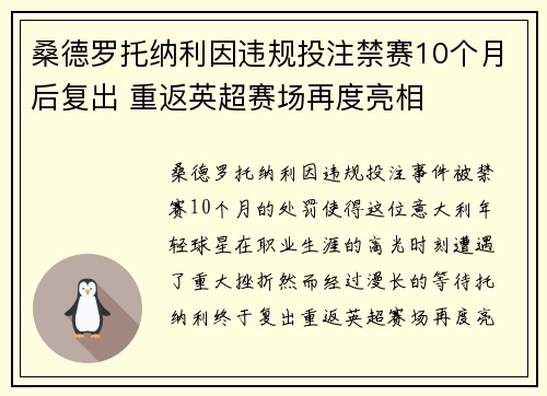 桑德罗托纳利因违规投注禁赛10个月后复出 重返英超赛场再度亮相